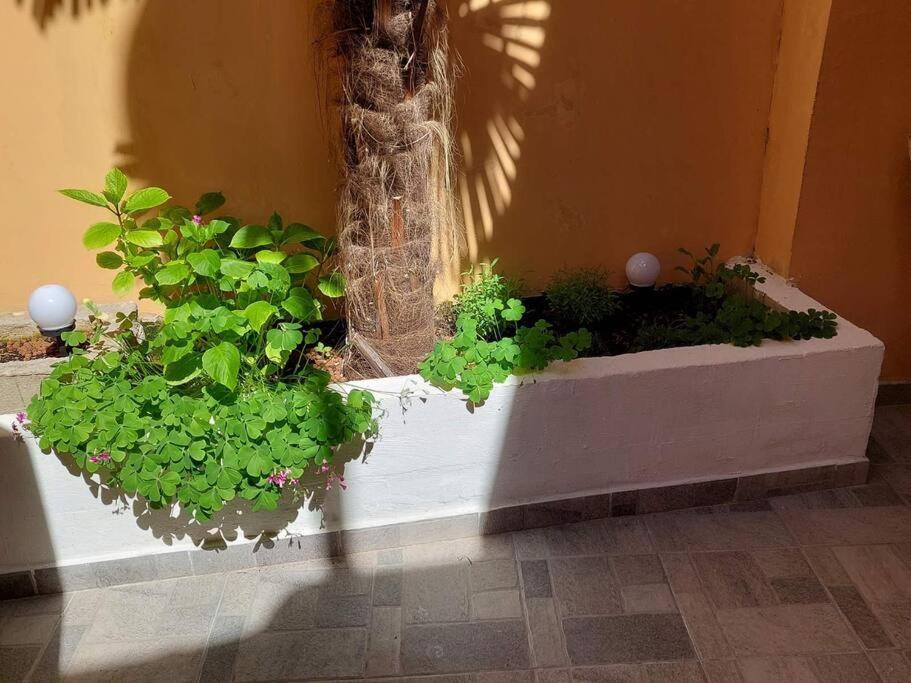 Atraktivna Kuca Sa Saunom I Grijanim Jacuzzijem * Cres